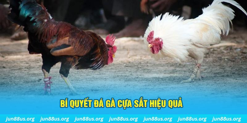 vip79 nổ hũ may mắn