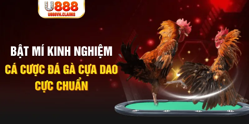 vip79 casino hồ tràm có cho người việt vào không