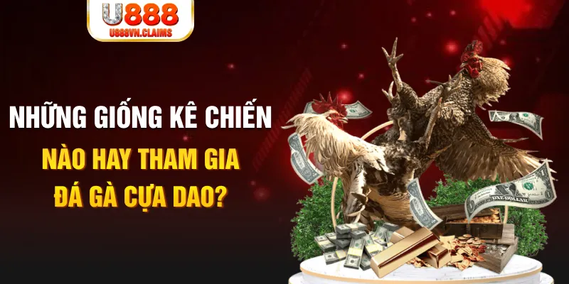 vip79 BG Trực Tuyến