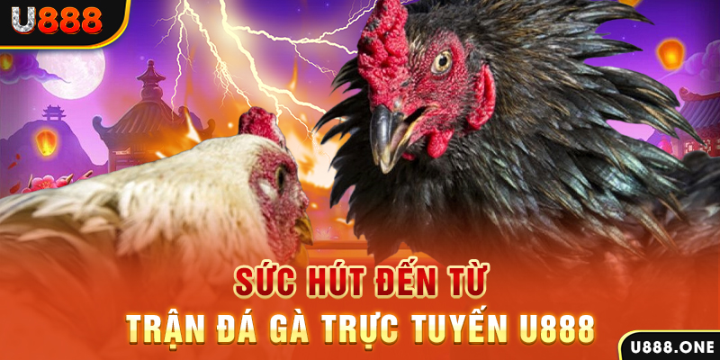 vip79 đăng nhập poker 2024