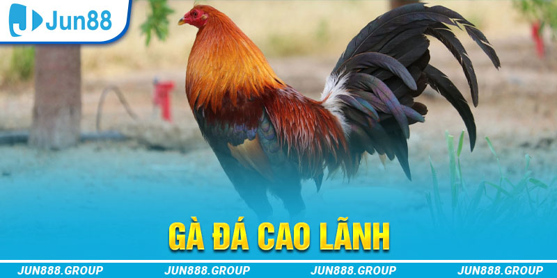 vip79 tai game vua bai ve may tinh