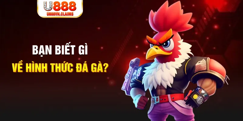 vip79 đăng nhập liêng tặng tiền