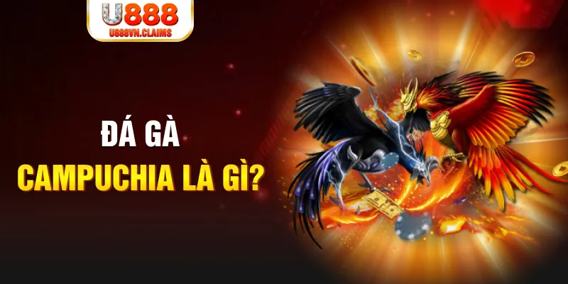 vip79 what is the best online casino for real money