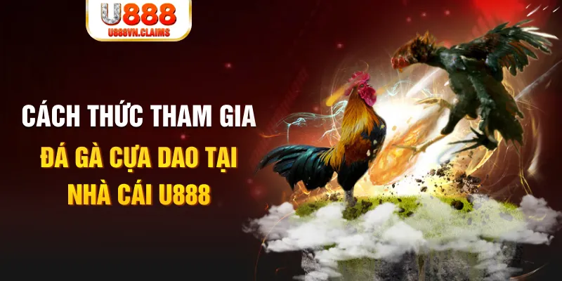 vip79 đá gà 88.com