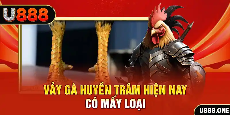 vip79 đăng nhập nổ hũ miễn phí