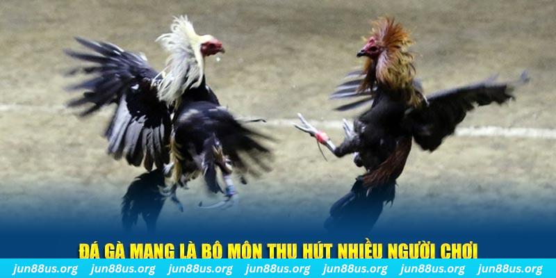 vip79 đăng nhập sòng bạc số 1
