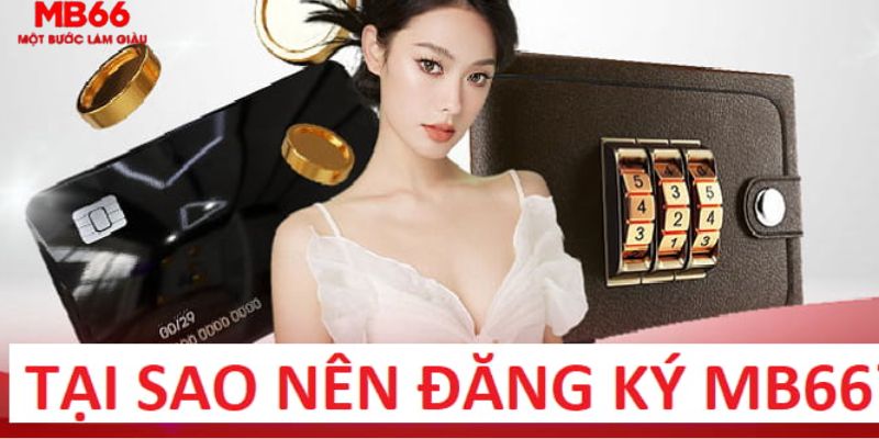 vip79 trực tiếp gà chọi c1