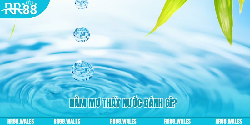 vip79 xổ số trực tiếp miền bắc