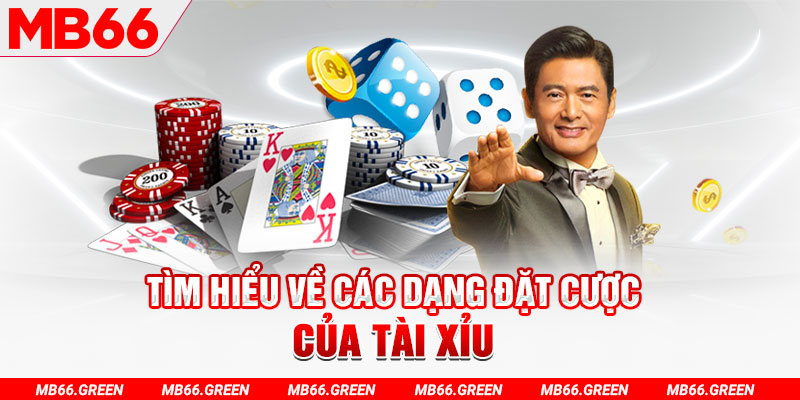vip79 what is a casino loyalty program