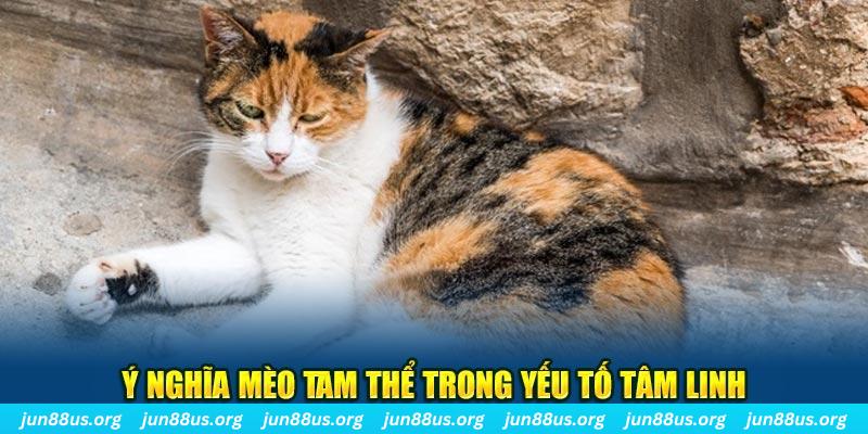 vip79 máy slot game là loại trò chơi gì？