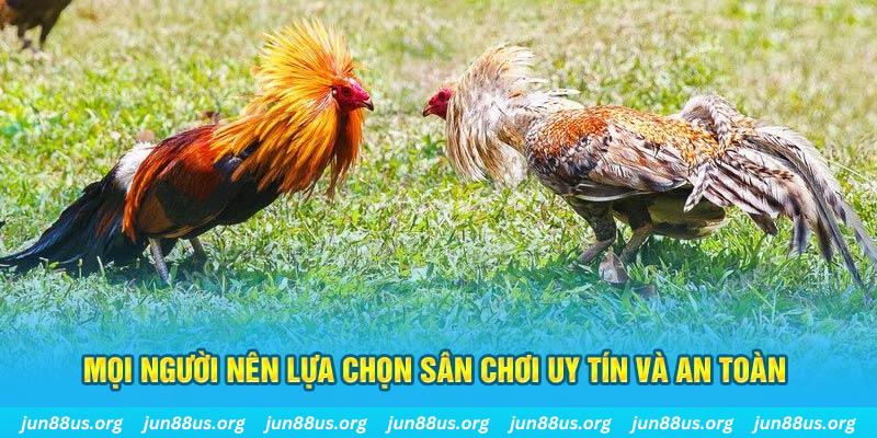 vip79 đăng nhập poker 2025