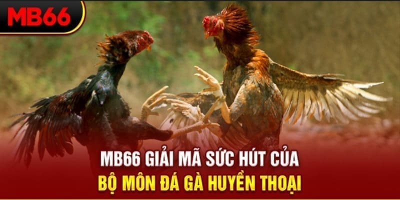 vip79 xổ số đài bắc
