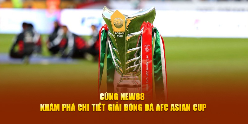 vip79 slot là gì dịch