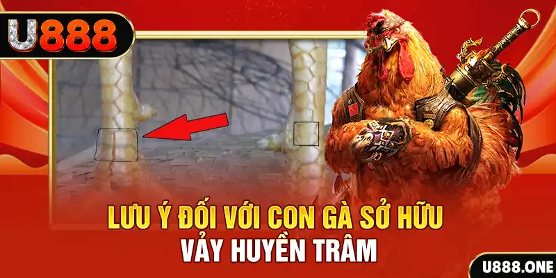 vip79 tải game đánh bài tiến lên miền nam về máy tính