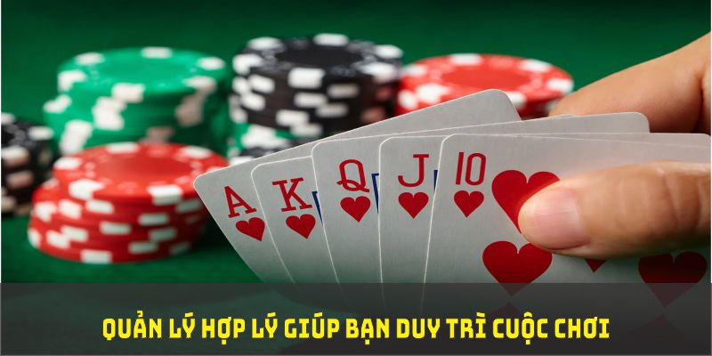 vip79 đá gà trực tiếp thomo 67