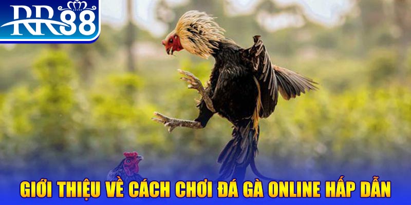 vip79 EvoPlay Điện Tử