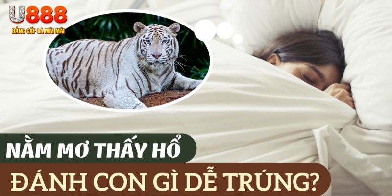 vip79 nohu .mx nổ hủ là gì