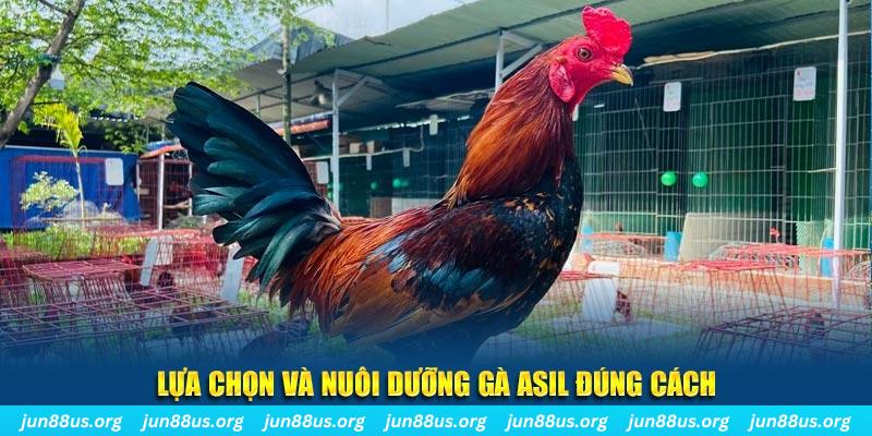 vip79 nổ hũ thần tài là gì