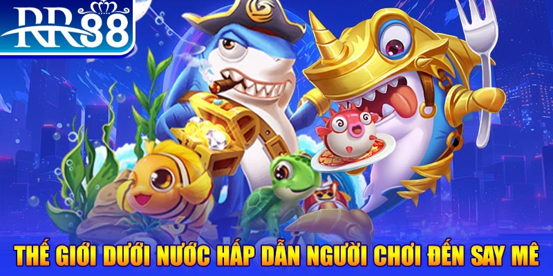 vip79 đăng nhập mậu binh dễ thắng