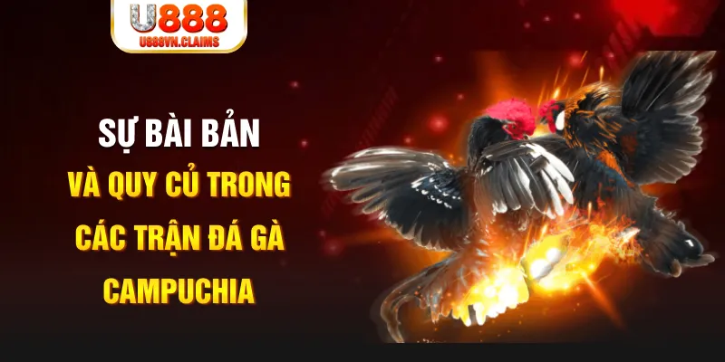 vip79 game xếp bài trên máy tính