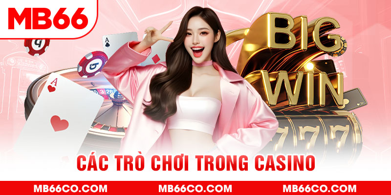 vip79 chổi lông gà
