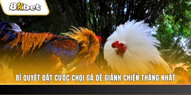 vip79 nổ hũ chơi như thế nào
