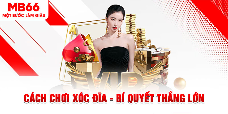 vip79 Đĩa màu ace