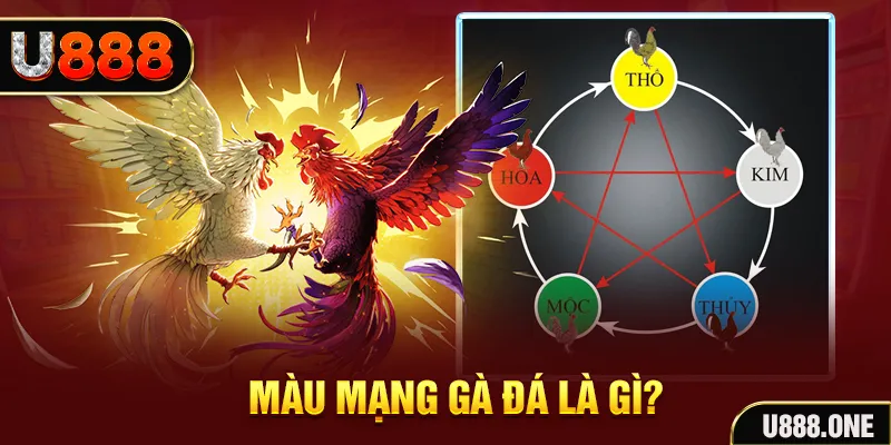 vip79 V8 Game Bài 3d