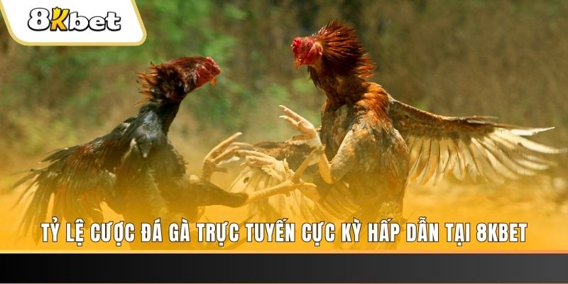 vip79 xổ số miền bắc chủ nhật