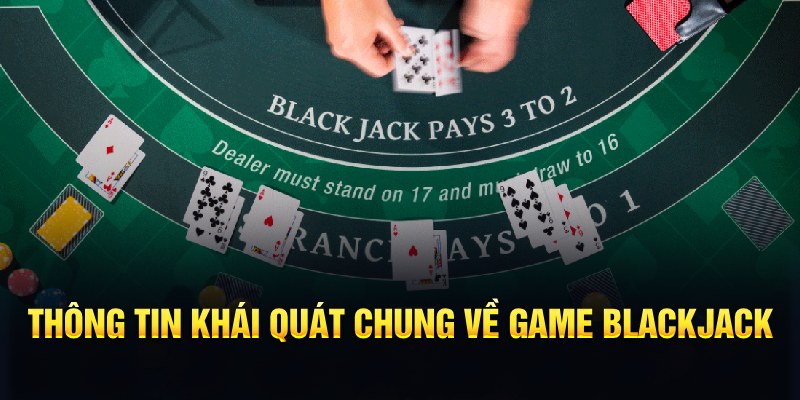 vip79 dự đoán xổ số miền nam