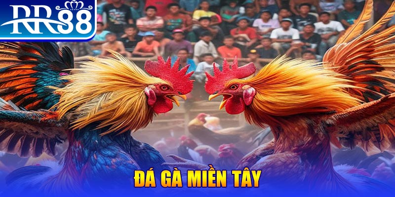 vip79 đăng nhập liêng đổi thưởng