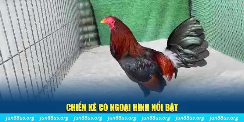 vip79 qq88 bắn cá