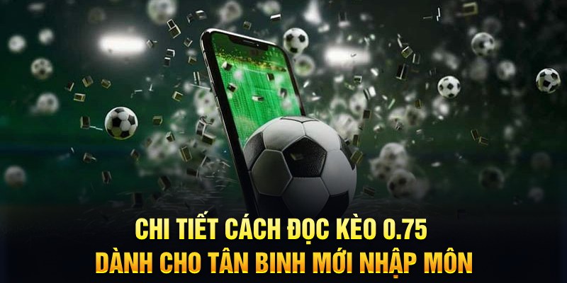 vip79 Xì tố