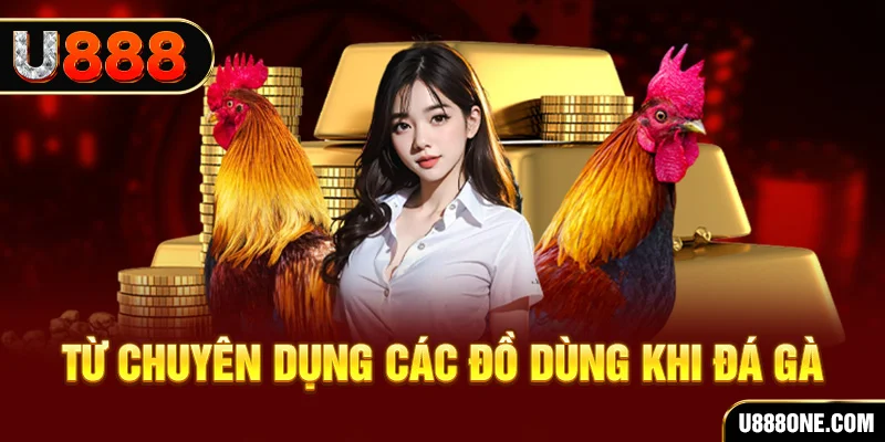 vip79 đăng nhập poker trực tiếp