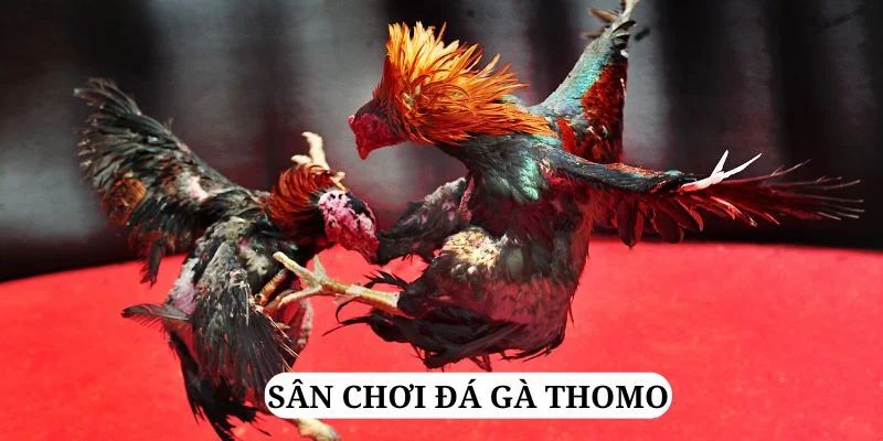 vip79 quay nổ hũ là gì