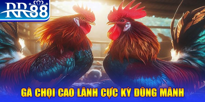 vip79 đăng nhập poker live